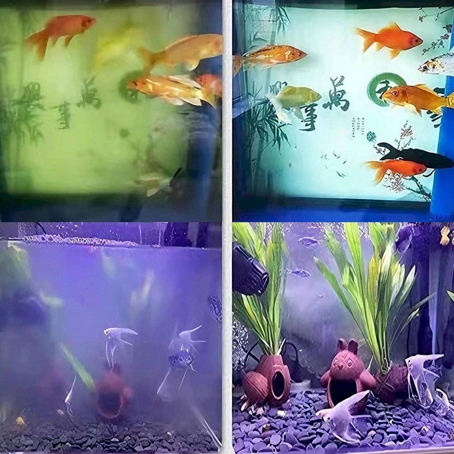 Earmouse Powerful Aquarium Water Purification Tablet - Fast Water Purification - Aqua Safe for Fish Tank(35pc),Aquarium Water Clarifier,Water Purifying Tablets,Water Clarifier for Fish Tank