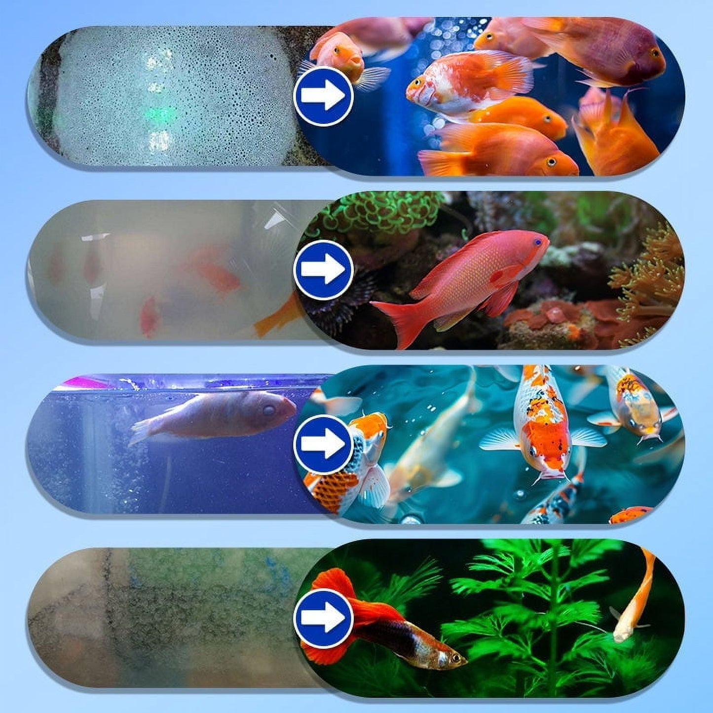 Qaailabf Fish Tank Water Purifier | Aquarium Water Clarifying Flocculant | Natural Safe Cleaning Agent | Improves pH & Alkalinity | Long-Lasting | Easy Use | 150ml Bottle