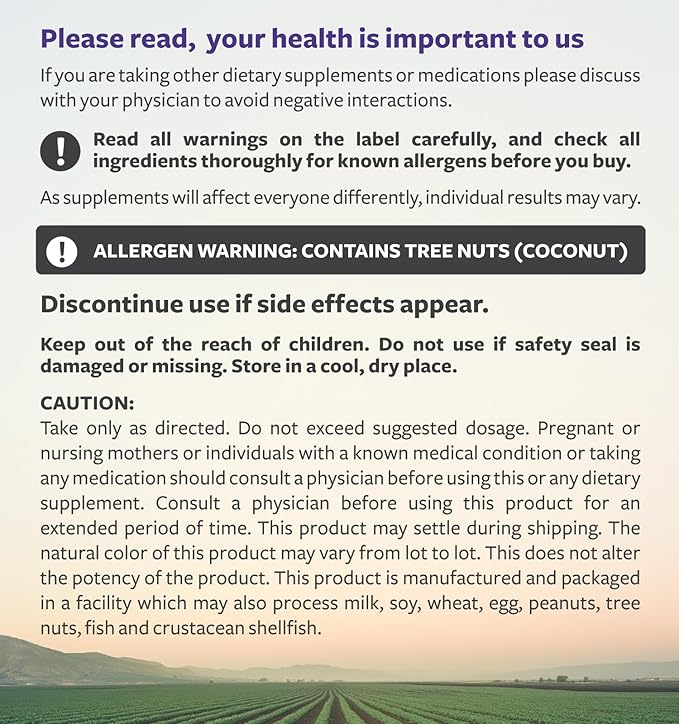 Elderberry Gummies for Kids with Vitamin C & Zinc (3 Months Supply) 90 Delicious Raspberry Flavor Gummy - Immune Support Supplement for Children - Vegetarian Sambucus Elderberry Gummies (No Pills)