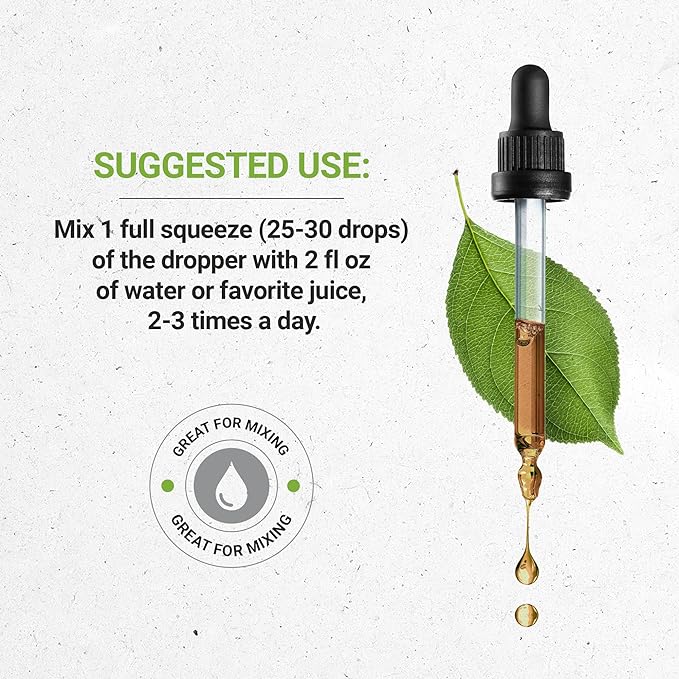 Secrets of the Tribe Gentian USDA Organic | Alcohol-Free Extract, High-Potency Herbal Drops | Made from 100% Certified Organic Gentian (Gentiana Lutea) Dried Root (2 oz)