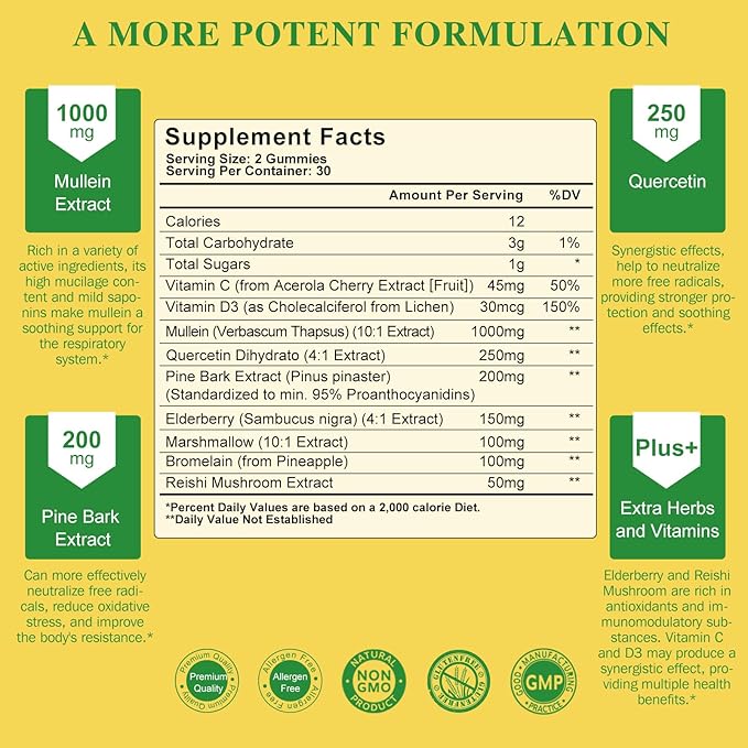 (2 Pack) 9 in 1 Mullein Gummies for Lung Cleanse, Mullein Leaf Extract w/Quercetin, Bromelain, Elderberry & Marshmallow for Respiratory, Immune, Vegan,120 Count