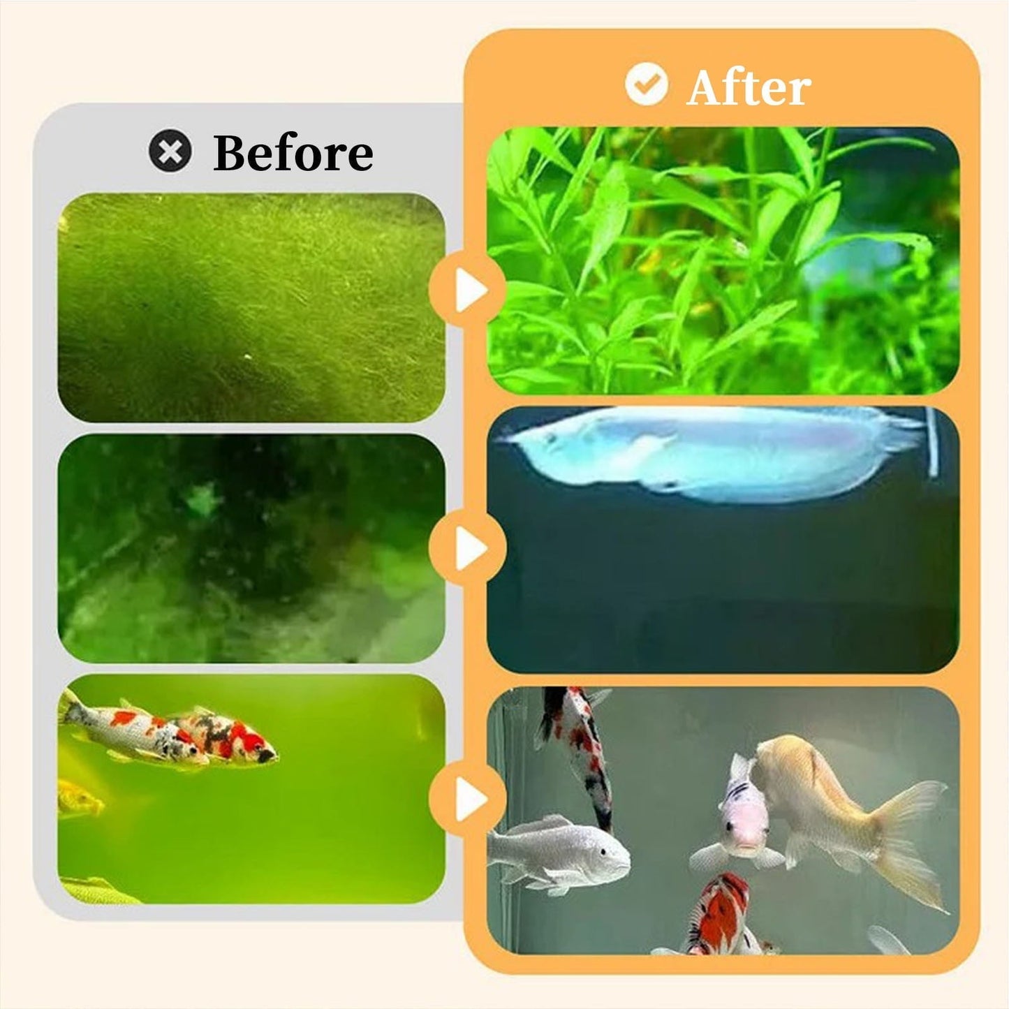 Powerful Aquarium Water Purification Tablet - Fast Water Purification - Aqua Safe for Fish Tank - Water Purification Tablets for Fish Tank - Aquarium 200ml
