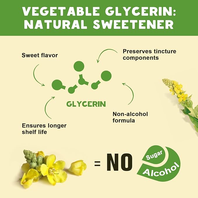 (2 Pack) 98% Absorption Mullein Drops for Lungs, Powerful 5 in 1 Mullein Leaf Herbal Blend Extract, Natural Lungs Support Supplement for Lungs Cleanse & Detox and Respiratory Lung Health
