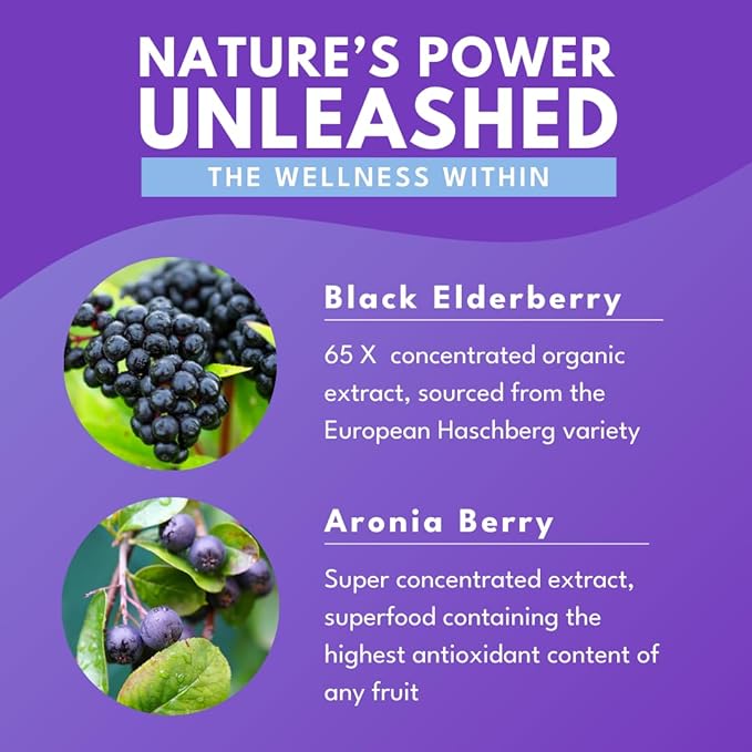 Elderberry Elixir – 65x Concentrated Extract - Sugar-Free - Kid Friendly - Black Elderberry Syrup with Aronia Berry for Immune Support - 4 Fl. Oz.