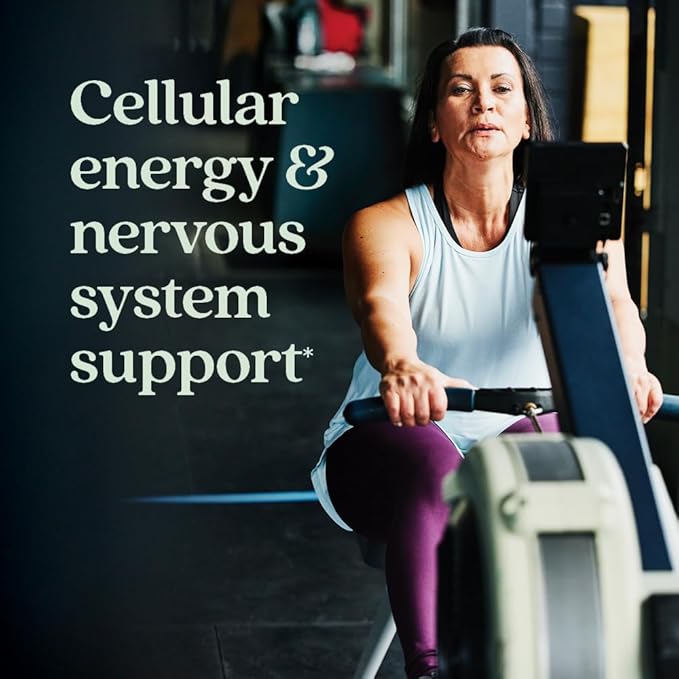 New Chapter Energy Supplement - Perfect Energy Multivitamin for Balanced Energy + Stress Support with B Vitamins + Vitamin D3 + Organic Non-GMO Ingredients - 96 ct