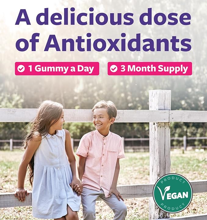 Elderberry Gummies for Kids with Vitamin C & Zinc (3 Months Supply) 90 Delicious Raspberry Flavor Gummy - Immune Support Supplement for Children - Vegetarian Sambucus Elderberry Gummies (No Pills)