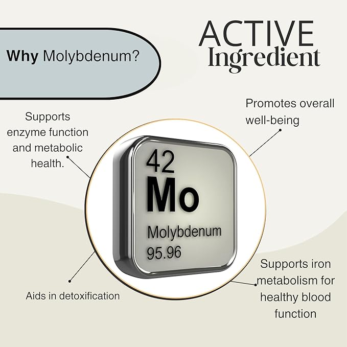 Dr. Scott's Focus & Clarity Brain Supplement – Advanced Nootropic Formula with Vitamin B12, Ginkgo Biloba, Bacopa, and Rhodiola – Boost Memory, Focus & Mental Energy – 60 Capsules