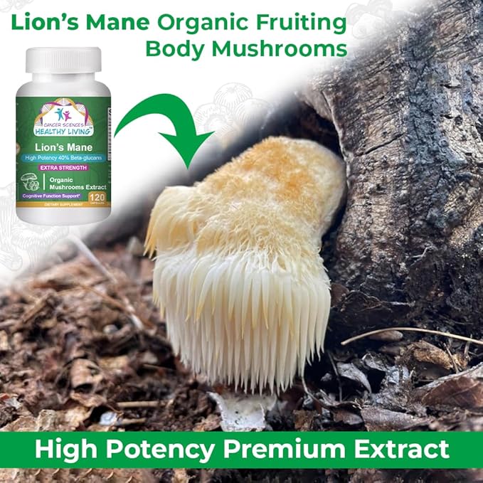 CANCER SCIENCES Lion’s Mane Wellness Mushroom Supplement Capsules, USDA Certified Organic Mushroom Extract, Extra Strength 1,500 mg, High Potency 40% Beta-Glucans, Focus & Memory Support, 120 Capsules