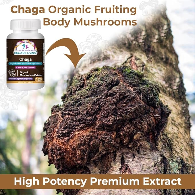Cancer Sciences Chaga Wellness Mushrooms Supplement, USDA Certified Organic Mushroom Extract, Extra Strength 1,500 mg, High Potency 40% Beta-Glucans, Immune Support, Gut Health, Antioxidant, 120 Caps