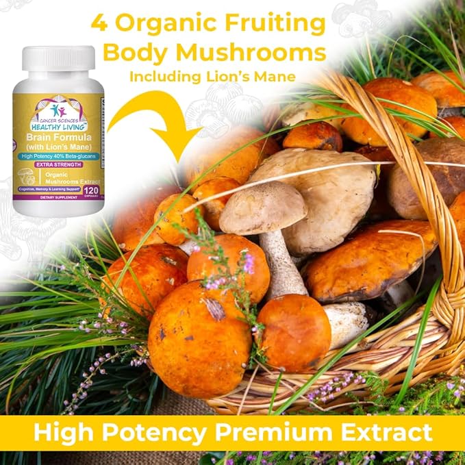 Cancer Sciences Memory Supplement for Brain, USDA Certified Organic Mushrooms Extract, Brain Health Supplements, Extra Strength 1,500 mg, High Potency 40% Beta-Glucans, Immune Support, 120 Capsules