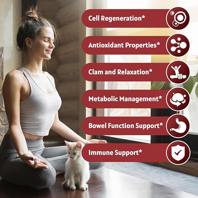 (2 Pack) Soursop Graviola Liquid Drop, Soursop Bitters Multivitamin Liquid with Sea Moss & Turmeric, 98% Absorption for Cell Support & Regeneration, Immune Boost and Liver, 1 Fl Oz