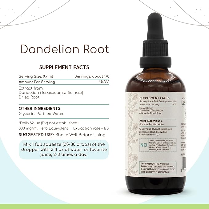 Dandelion Root B120 Alcohol-Free Herbal Extract Tincture, Super-Concentrated Dandelion (Taraxacum Officinale) Dried Root (4 fl oz)