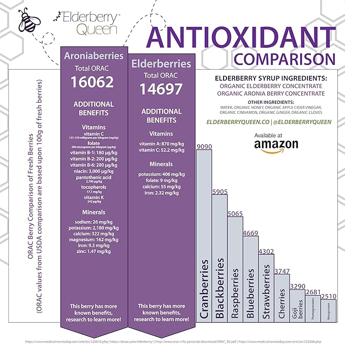 Elderberry Queen Organic Elderberry Syrup 12 Fl Oz - Immune Support Formula with Sambucus Black Elderberry & Aronia Berry - Pure Natural Certified Organic Elderberry Syrup for Kids and Adults