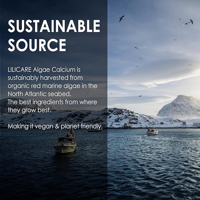 (2 pack) Plant Based Calcium Gummies 600mg with Vitamin D3 K2, Zinc for Bone Strength, Calcium Supplements for Women (Certified Vegan) Sustainably Sourced Algae Calcium Magnesium 2:1 Ratio, Sugar Free