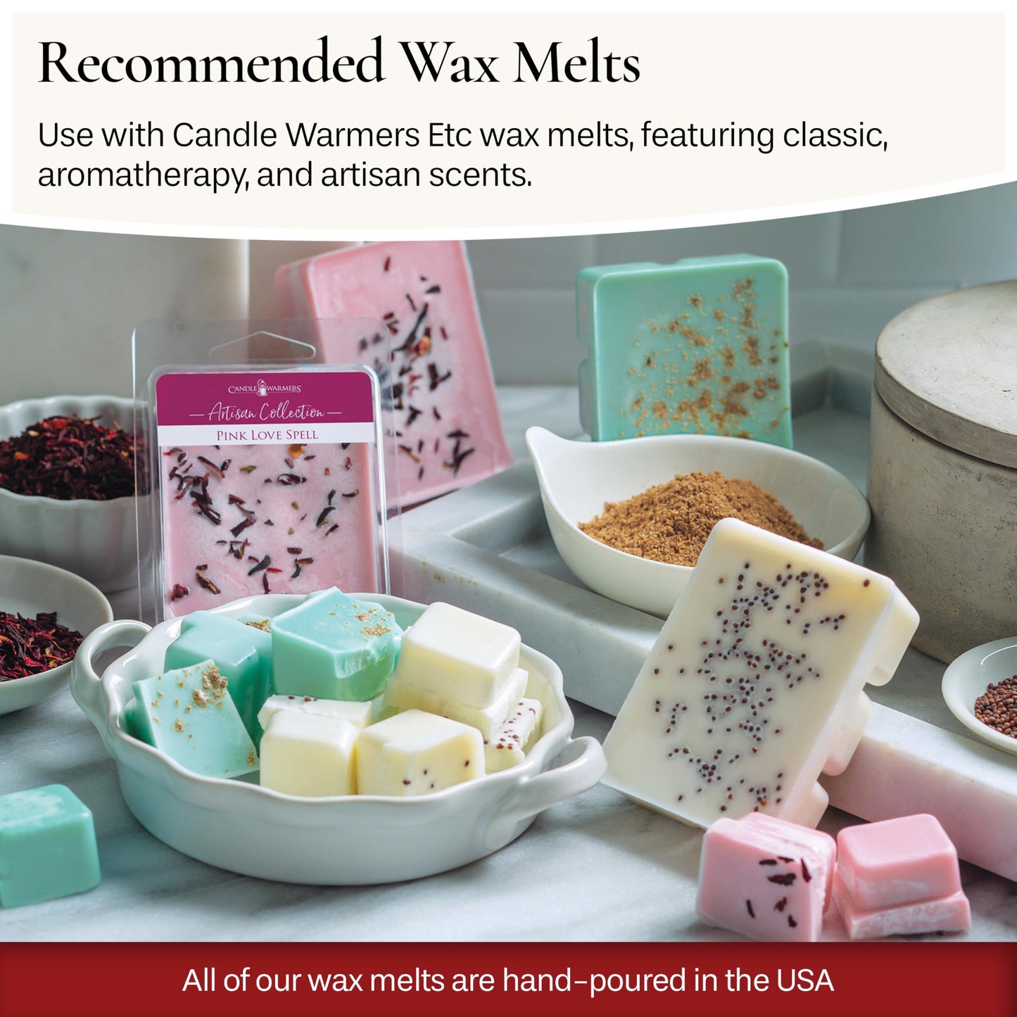 Candle Warmers Etc. Fragrance Warmer (Succulent) Warm Scented Wax Melts, Cubes and Tarts