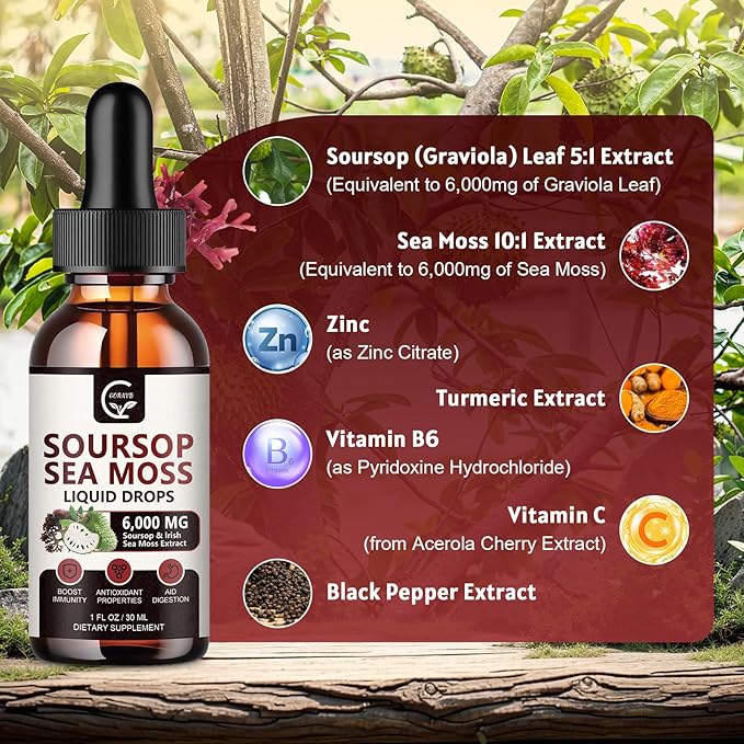 (2 Pack) Soursop Graviola Liquid Drop, Soursop Bitters Multivitamin Liquid with Sea Moss & Turmeric, 98% Absorption for Cell Support & Regeneration, Immune Boost and Liver, 1 Fl Oz