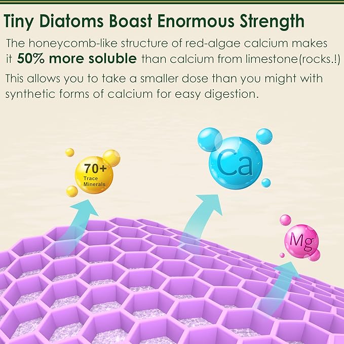 (2 pack) Plant Based Calcium Gummies 600mg with Vitamin D3 K2, Zinc for Bone Strength, Calcium Supplements for Women (Certified Vegan) Sustainably Sourced Algae Calcium Magnesium 2:1 Ratio, Sugar Free