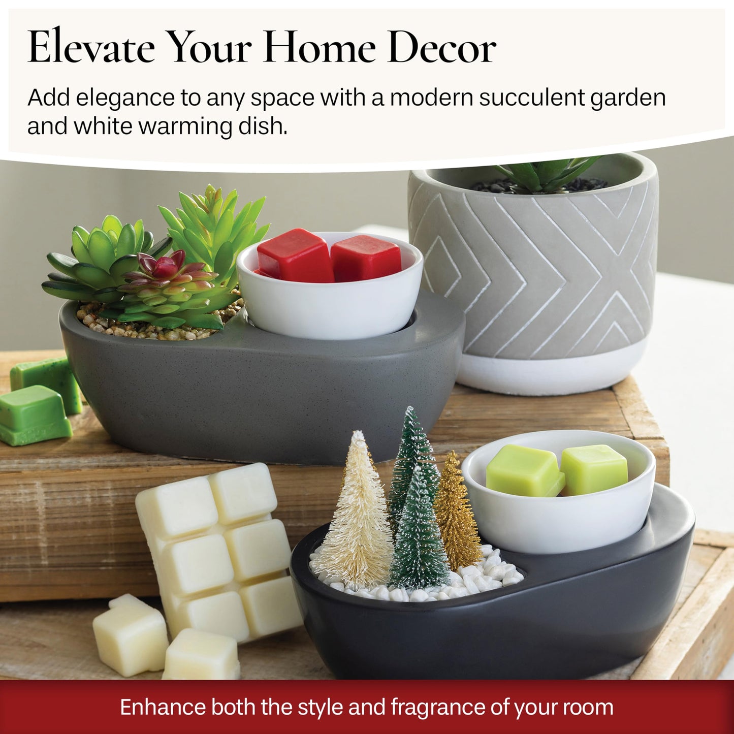 Candle Warmers Etc. Fragrance Warmer (Succulent) Warm Scented Wax Melts, Cubes and Tarts