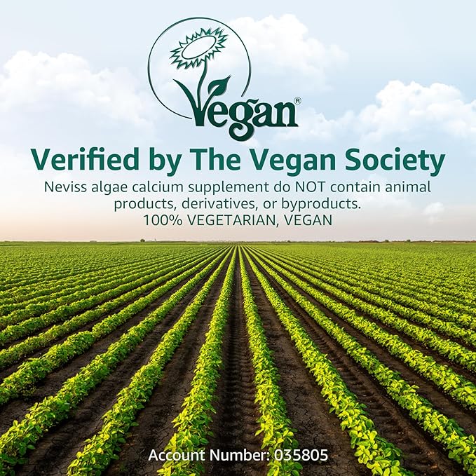 (2 Pack) Calcium Gummies for Women, Sugar Free Calcium Supplement from Sustainable Algae (3rd Party Tested) with Vitamin D3 K2, C, Zinc, Boron, Manganese for Bone Strength, Calcium Absoption, Vegan